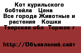Кот курильского бобтейла › Цена ­ 5 000 - Все города Животные и растения » Кошки   . Тверская обл.,Торжок г.